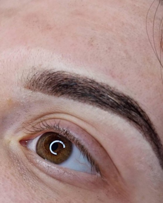 Volle, strak gevormde wenkbrauw boven een bruin oog